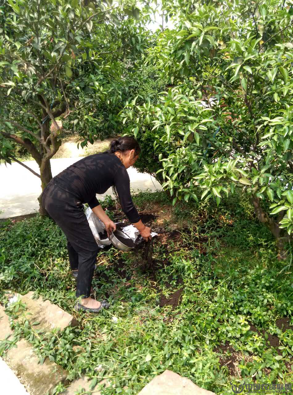 ���٘�(sh��)��(sh��)��(w��n)�}�����P(gu��n)���^(gu��)�᣿